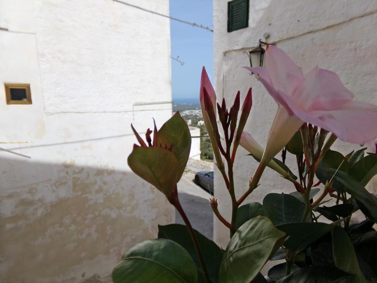 Le Tre Volte Villa Ostuni Exteriör bild